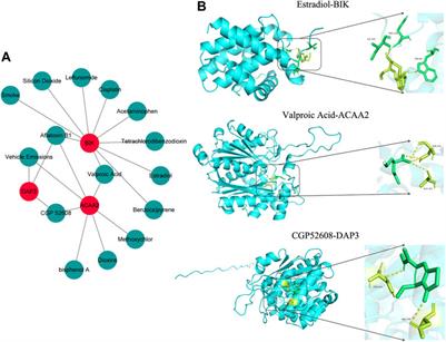 Identification and experimental validation of programmed cell death- and mitochondria-associated biomarkers in osteoporosis and immune microenvironment